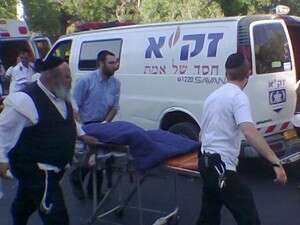 ���� ������ ��������