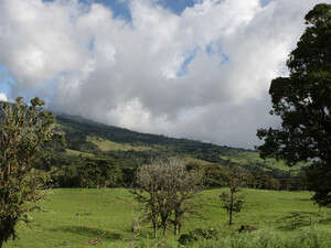 עולם צומח שאין שני לו עולם צומח שאין שני לו