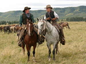 ���� ����