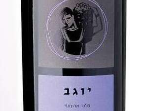 ���� �������, ���� ������ 2008