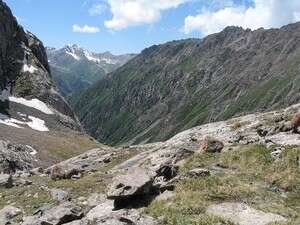 המרעה באיזור הוא מהטובים ביותר המרעה באיזור הוא מהטובים ביותר