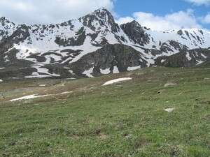 מוזר ללכת כשאפשר לנסוע מוזר ללכת כשאפשר לנסוע