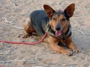 ���� ���