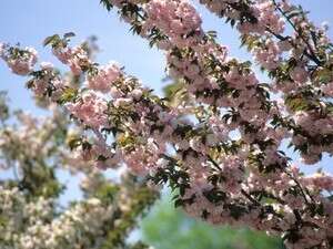 ����� �� ������� ��� ��������