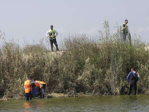 החיפושים בנחל אלכסנדר. החיפושים בנחל אלכסנדר.