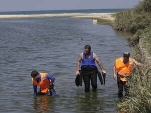 �������� ���� �������