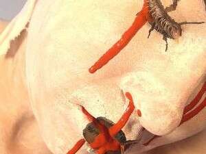 הרוצח והקורבן. מבט ישיר לתוך הכאב לא הופך אותנו חלשים הרוצח והקורבן. מבט ישיר לתוך הכאב לא הופך אותנו חלשים