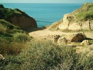 ����� ���������