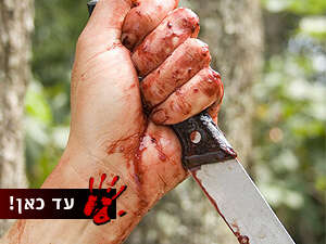 שני מקרי דקירה בחיפה. צילום המחשה שני מקרי דקירה בחיפה. צילום המחשה