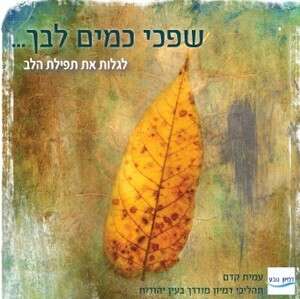 ���� ���� ���