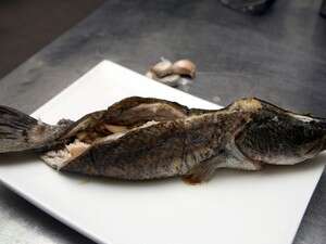 ברמונדי במילוי כרישה ויאנסון ברמונדי במילוי כרישה ויאנסון