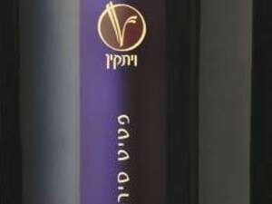 ויתקין פטיט סירה 2006 ויתקין פטיט סירה 2006