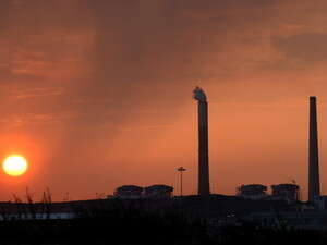 ���� ���� �������