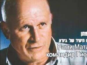 גחליליות גחליליות