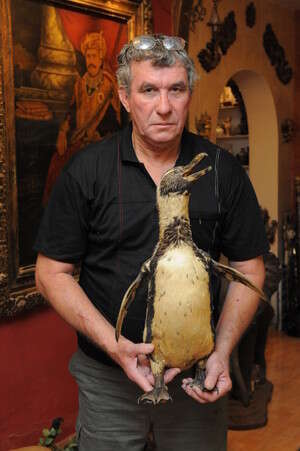 שלמה ופוחלץ מעשה ידיו שלמה ופוחלץ מעשה ידיו