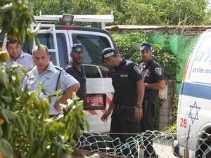 ���� ���� ������ ������ �������.