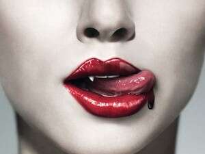 true blood true blood