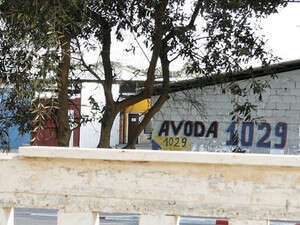 הכניסה למכון הסמוך לבית הכנסת באשקלון הכניסה למכון הסמוך לבית הכנסת באשקלון