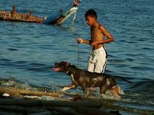 מתאמצים יותר. מתאמצים יותר.