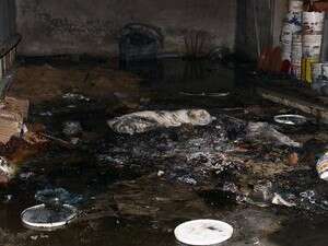 ����� �� ���� ������ ���� ���-������