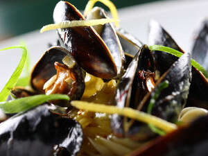 מולים בזעפרן מולים בזעפרן