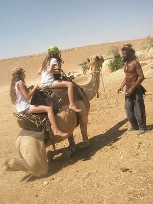 טיולי גמלים, גם עם לינת שטח. טיולי גמלים, גם עם לינת שטח.