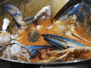 סרטנים כחולים ומולים סרטנים כחולים ומולים