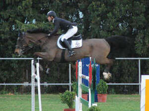 ���� ���� ����� ������ ����� ��� ����