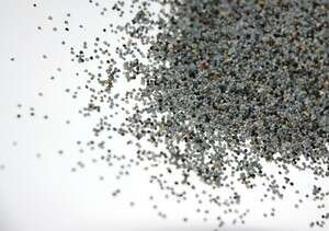 פרג. רק טחון טרי פרג. רק טחון טרי