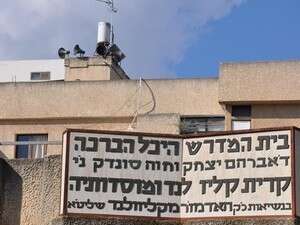 ����� ������ ������ ����� �����