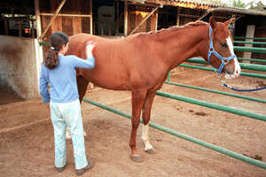 ��� ���� �����