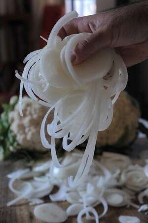 בצל למג'דרה בצל למג'דרה