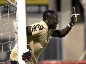 דלה איינוגבה, הערב באורווה. חומה בצורה דלה איינוגבה, הערב באורווה. חומה בצורה