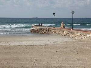 רצועת החוף המוצעת למכירה עם פסל בתולת הים רצועת החוף המוצעת למכירה עם פסל בתולת הים
