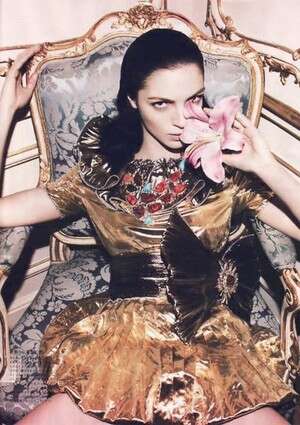 The Wild Orchid. ההפקה המקורית מהווג היפני The Wild Orchid. ההפקה המקורית מהווג היפני
