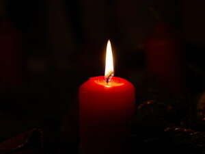 �����. ����� ������