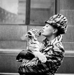 �����. ������ ����� �������