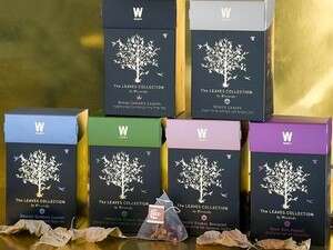 סדרת The LEAVES COLLECTION של ויסוצקי סדרת The LEAVES COLLECTION של ויסוצקי
