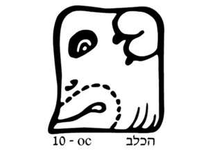 הכלב הכלב
