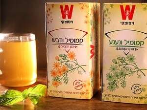 ויסוצקי ויסוצקי