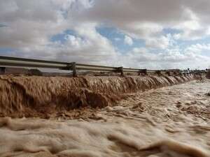 ������� ����