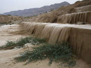 ������ ���� ���� ������ ���� �����