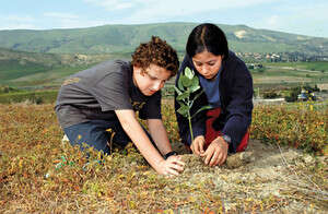 ����� ����� ��