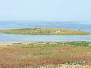 �� ��� �����. ���� ��� �����