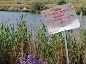 נחל מזוהם. נחל מזוהם.