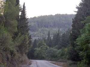 ��� �����. ���� ���� ����� ��� ���� �����