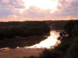 בוצה חשמלית? בינתיים הביוב זורם בוצה חשמלית? בינתיים הביוב זורם