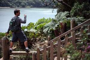 ����� ����� ������ ����