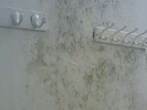 ���� ������ �������. �����: 