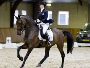 רז ניצני. יופי של הופעה רז ניצני. יופי של הופעה